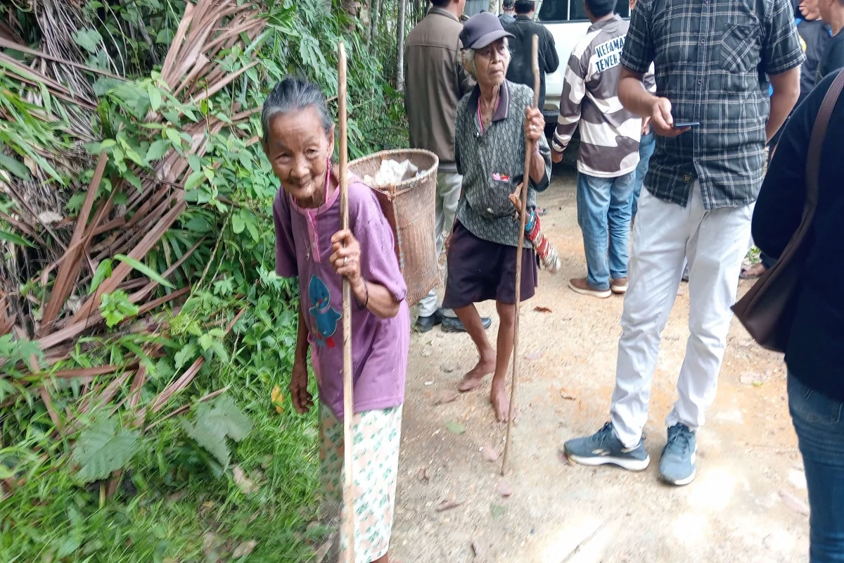 Inspirasi Cinta Dari Hutan Kalimantan